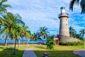 Kokospalme mit Leuchtturm und Meer