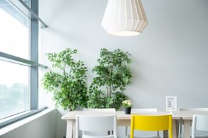 Tisch und große Zimmerpflanze